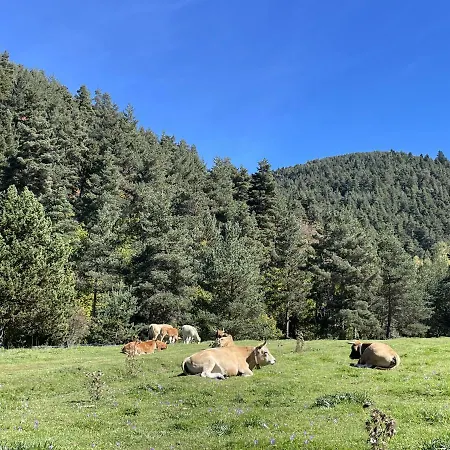 Apartment La Molina